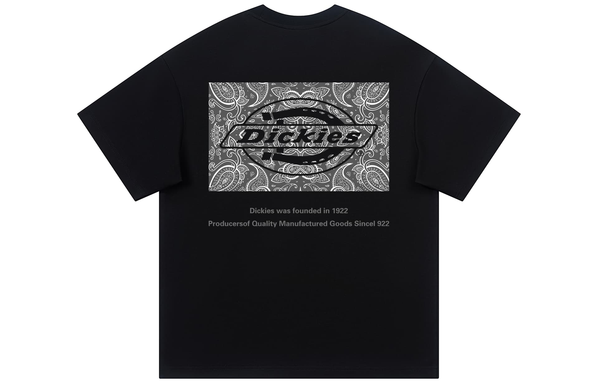 Футболка Dickies 320 logoT