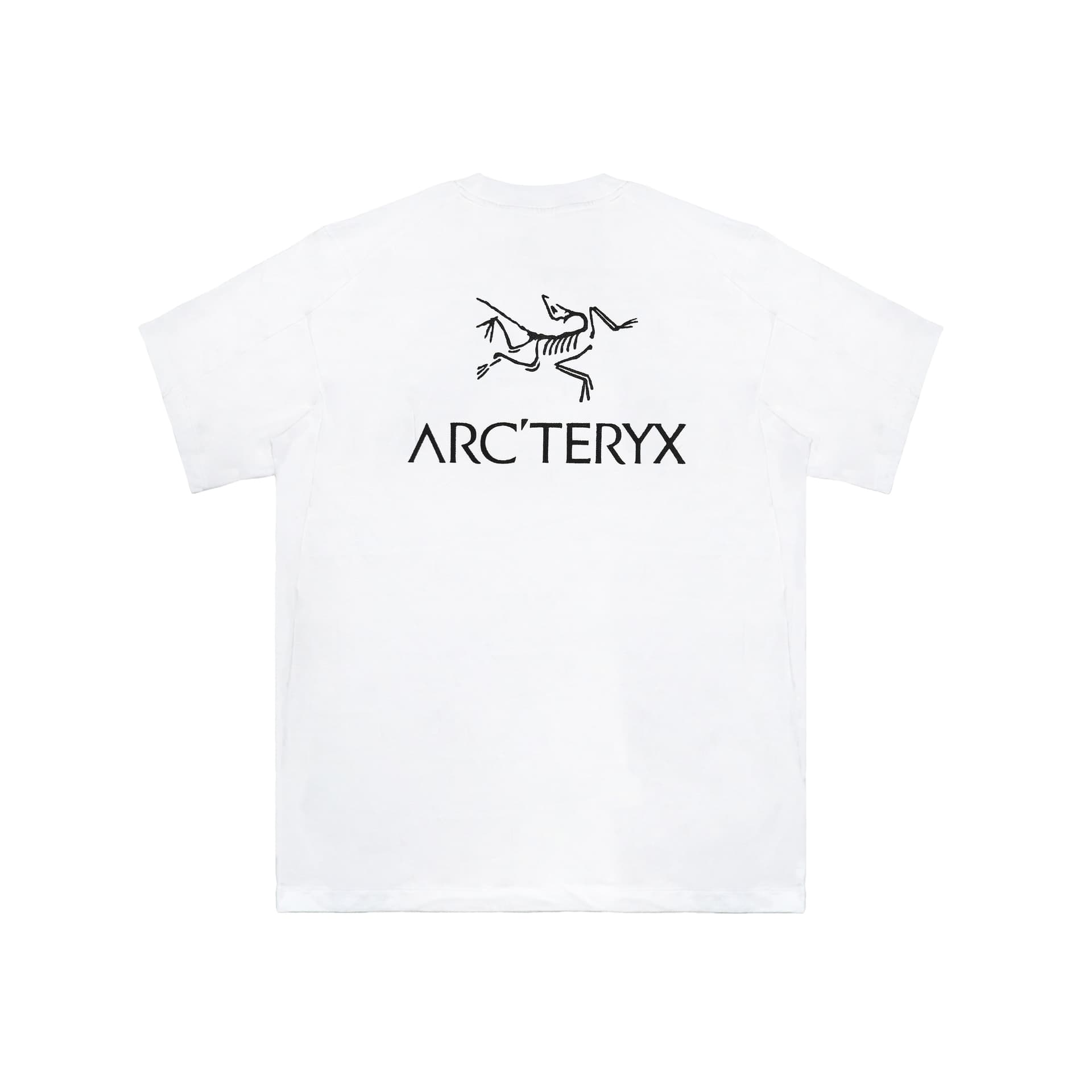 Футболка Arcteryx KRAGG logo T — фото 2