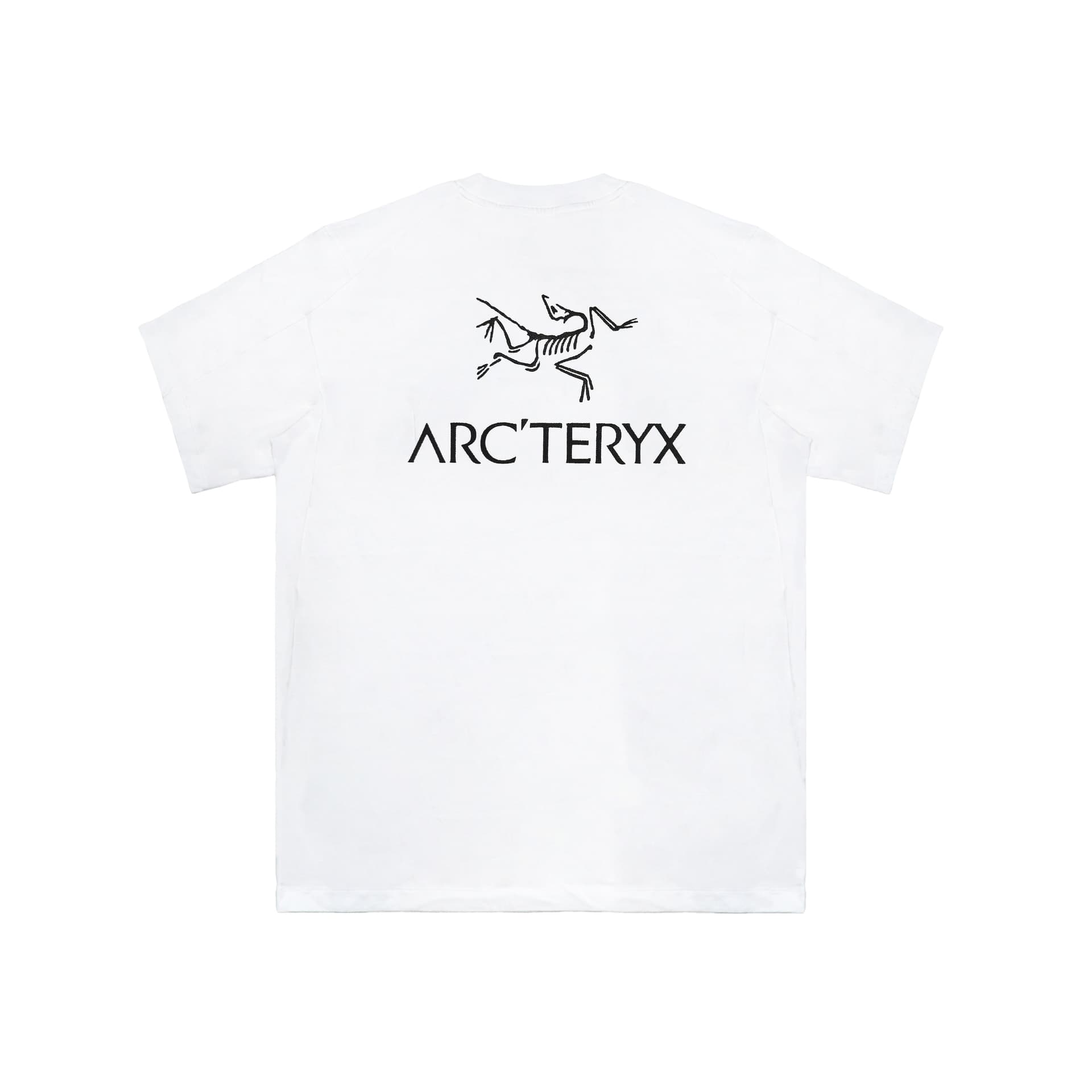 Футболка Arcteryx KRAGG logo T — фото 8
