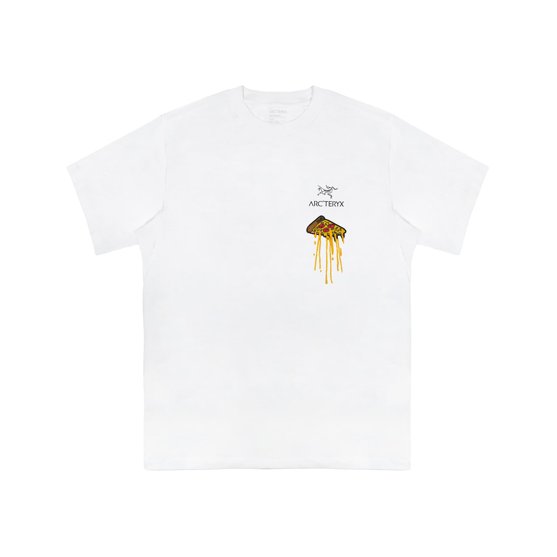 Футболка Arcteryx KRAGG logo T