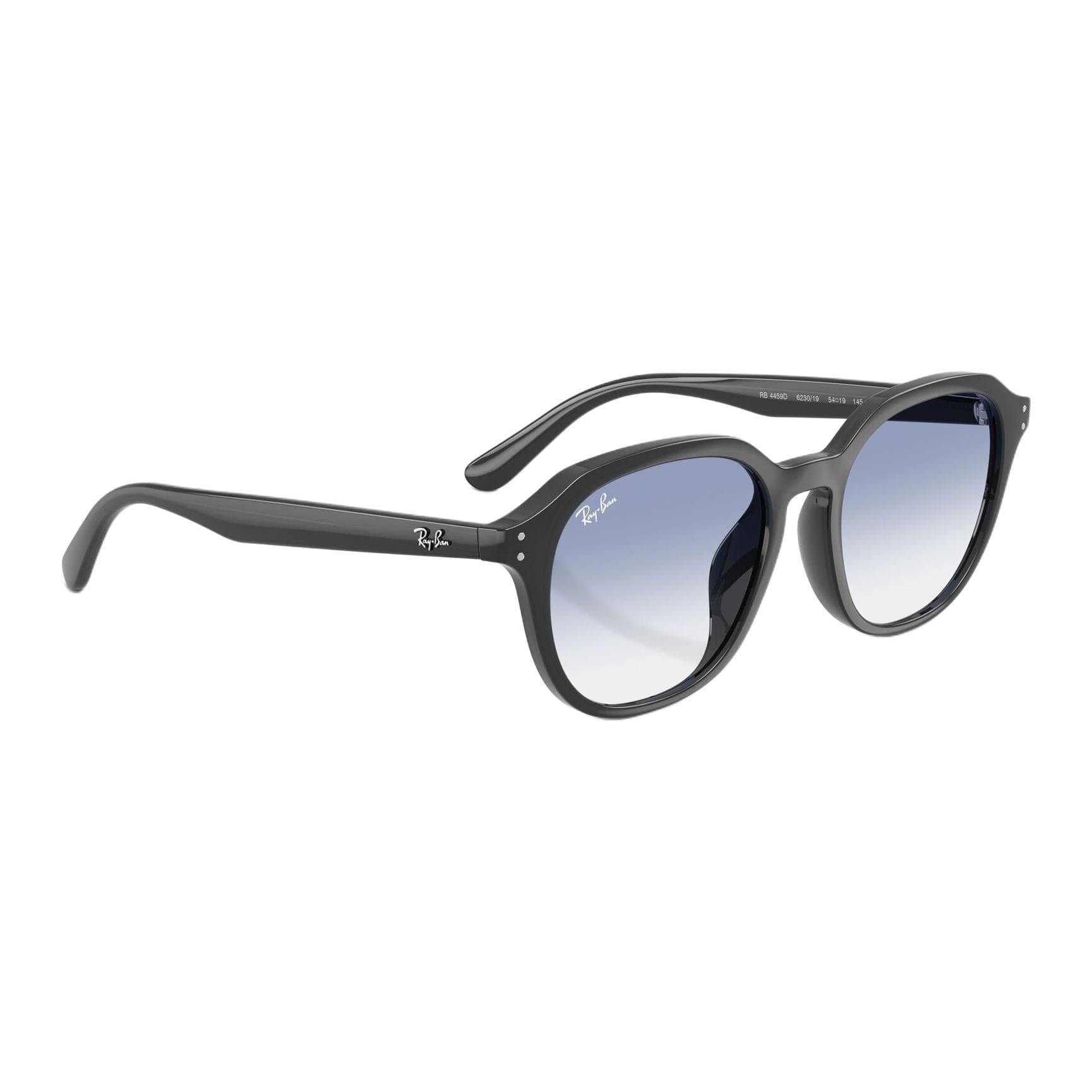 Солнцезащитные очки RayBan OVAL SUNGLASSES Унисекс Черные - изображение 4