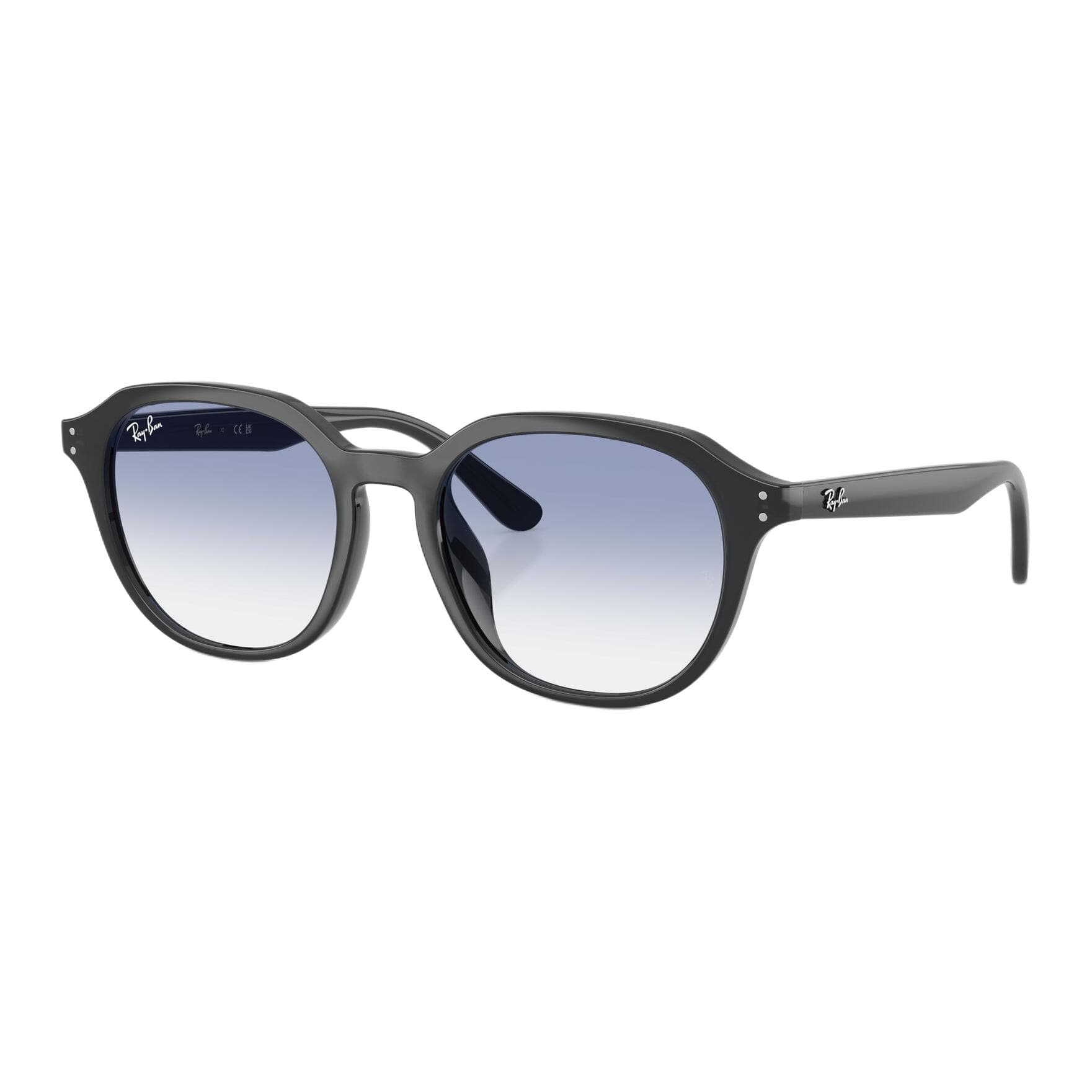 Солнцезащитные очки RayBan OVAL SUNGLASSES Унисекс Черные - изображение 1