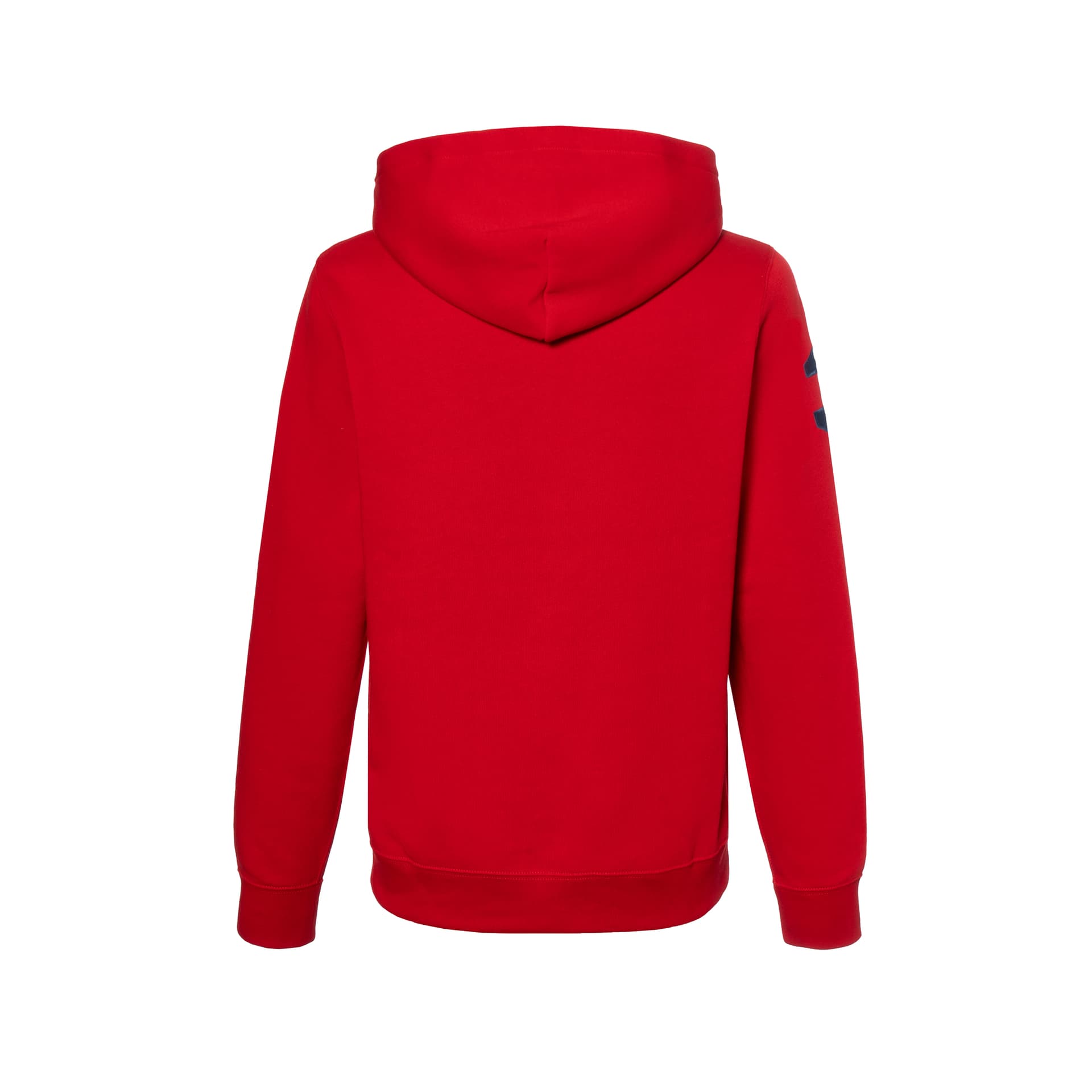Polo Ralph Lauren Толстовка Big Pony Подростки - изображение 4