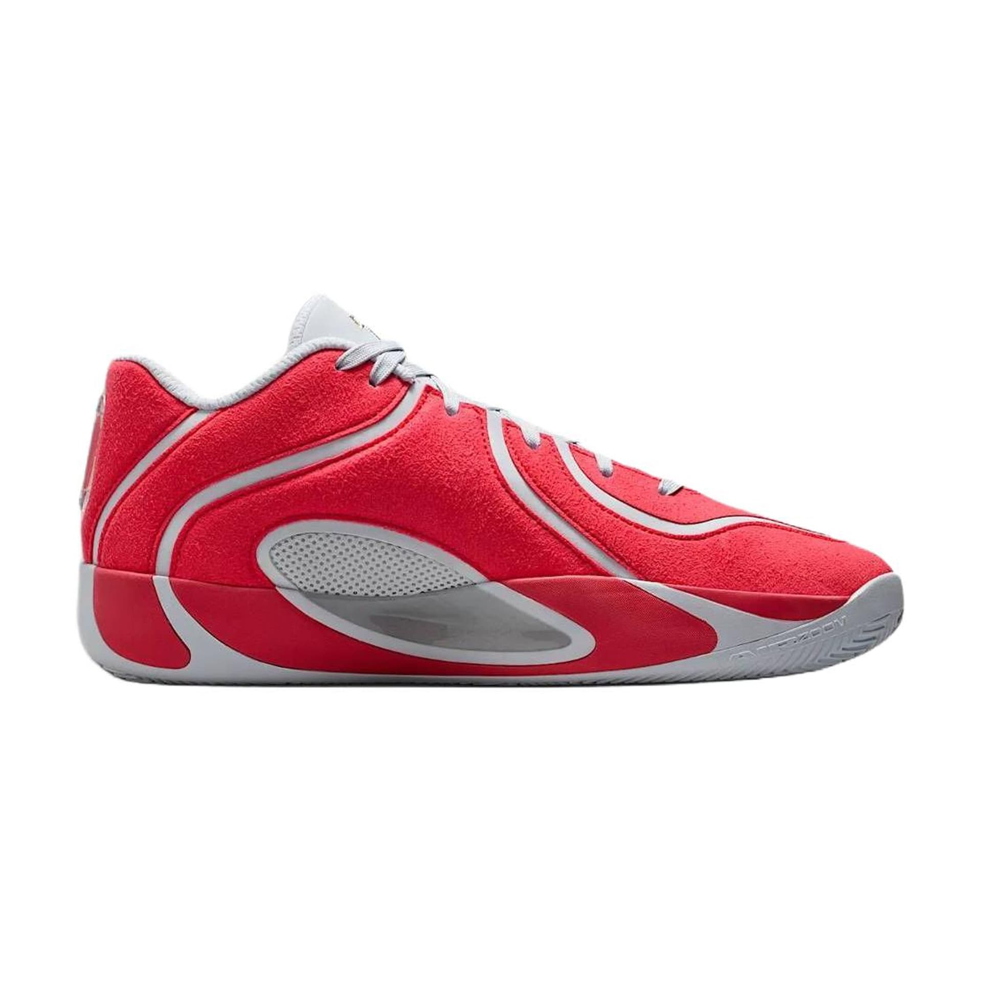 Кроссовки для баскетбола Jordan x Tatum 4 Premium PF Удобные и прочные баскетбольные кроссовки Мужской Красно-серая клетка - изображение 2