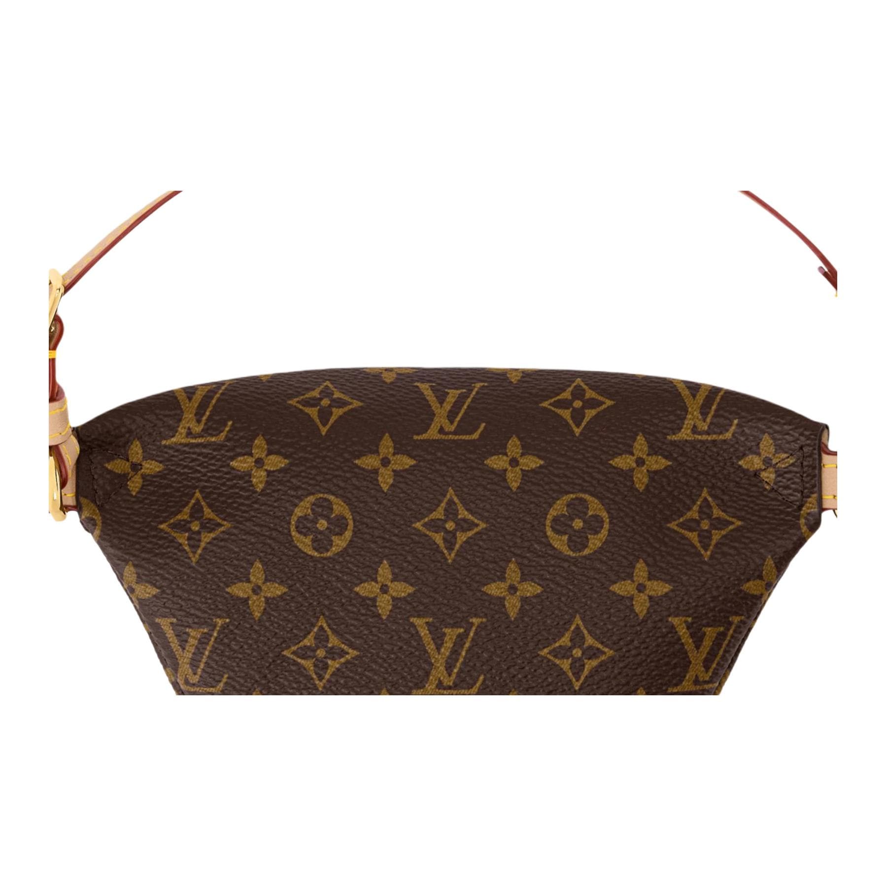 Поясная сумка LOUIS VUITTON MICRO BUMBAG Monogram - изображение 5