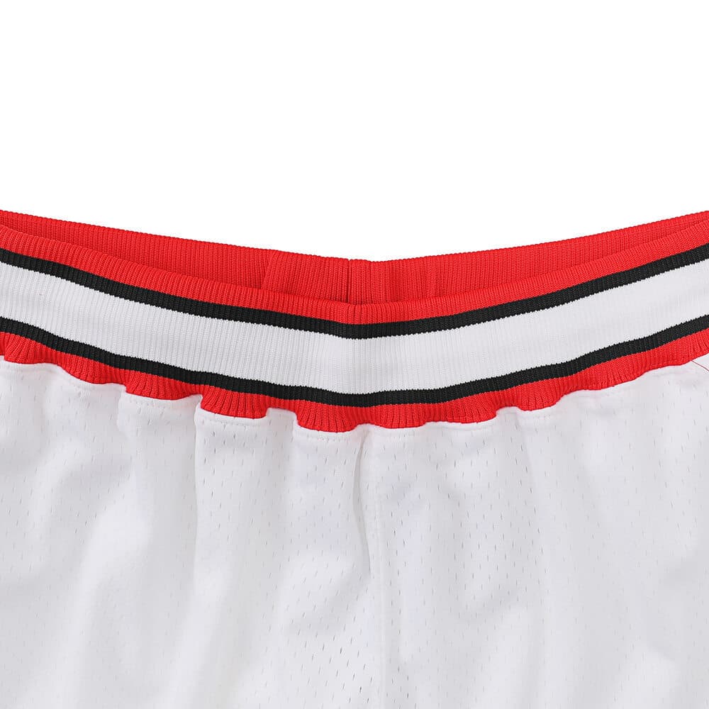 Баскетбольные шорты Mitchell Ness 1996-97MN - изображение 3
