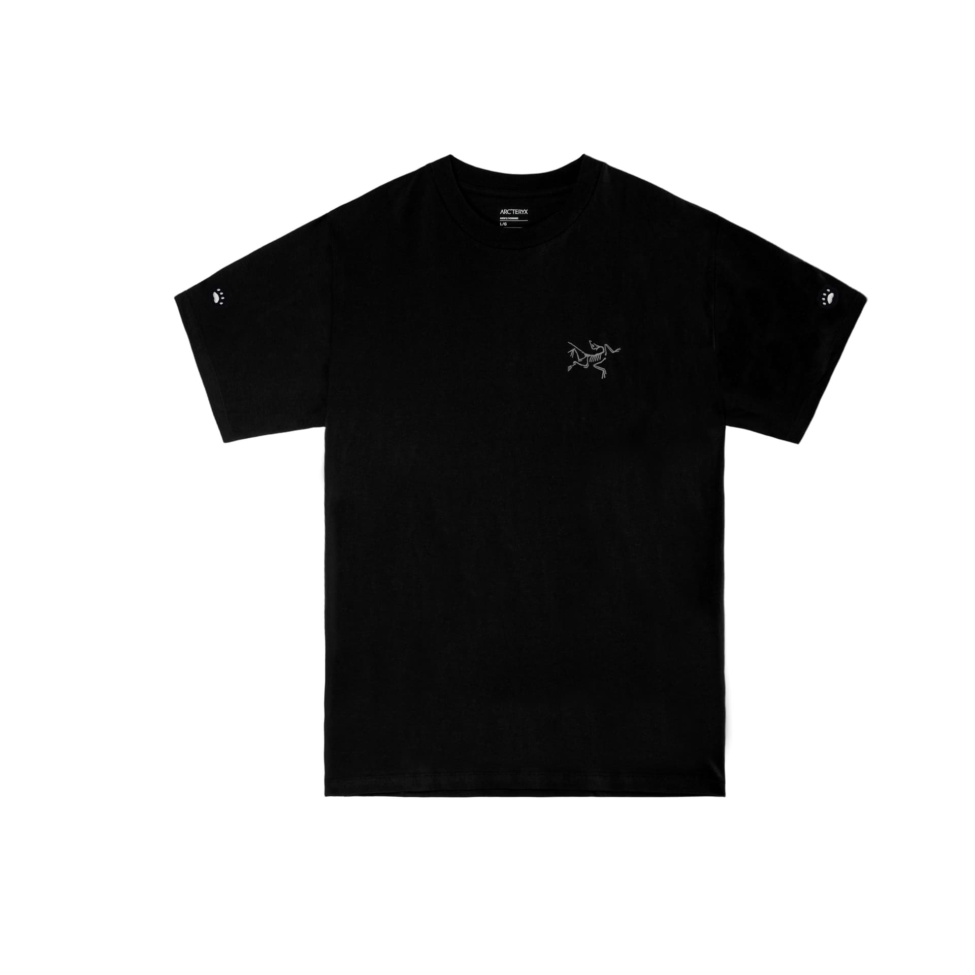 Футболка Arcteryx KRAGG logo T