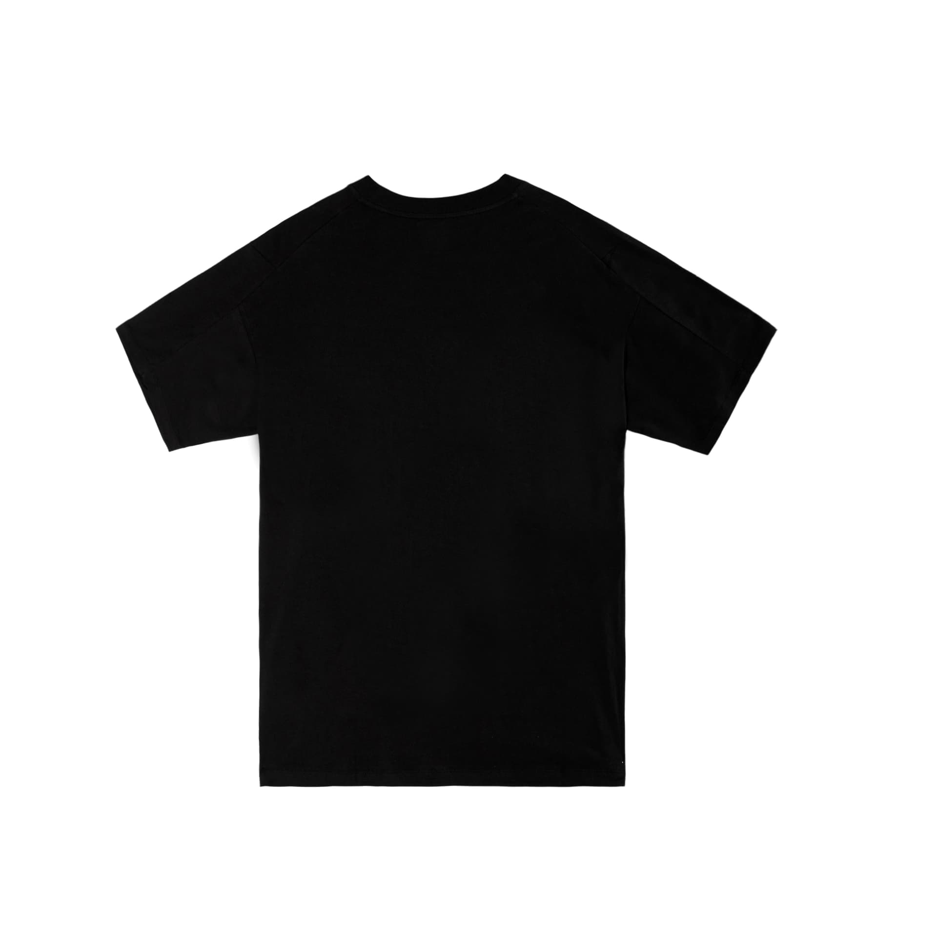 Футболка Arcteryx KRAGG logo T — фото 6