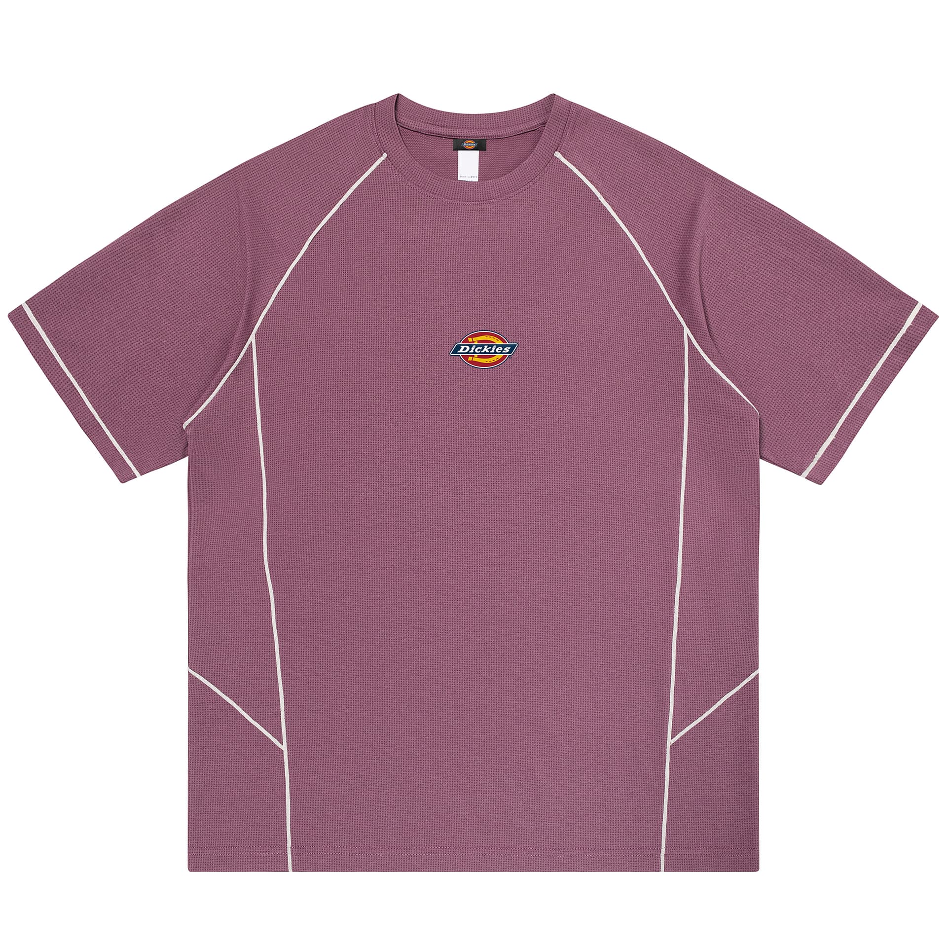 Футболка Dickies Logo T