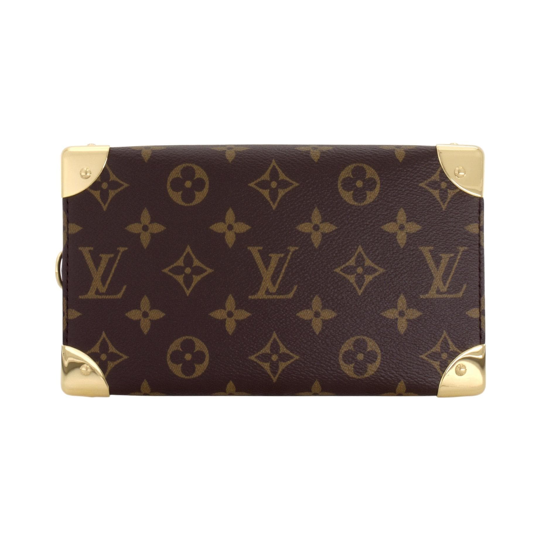 Сумка Louis Vuitton SpeedyTrunk 20 - изображение 6