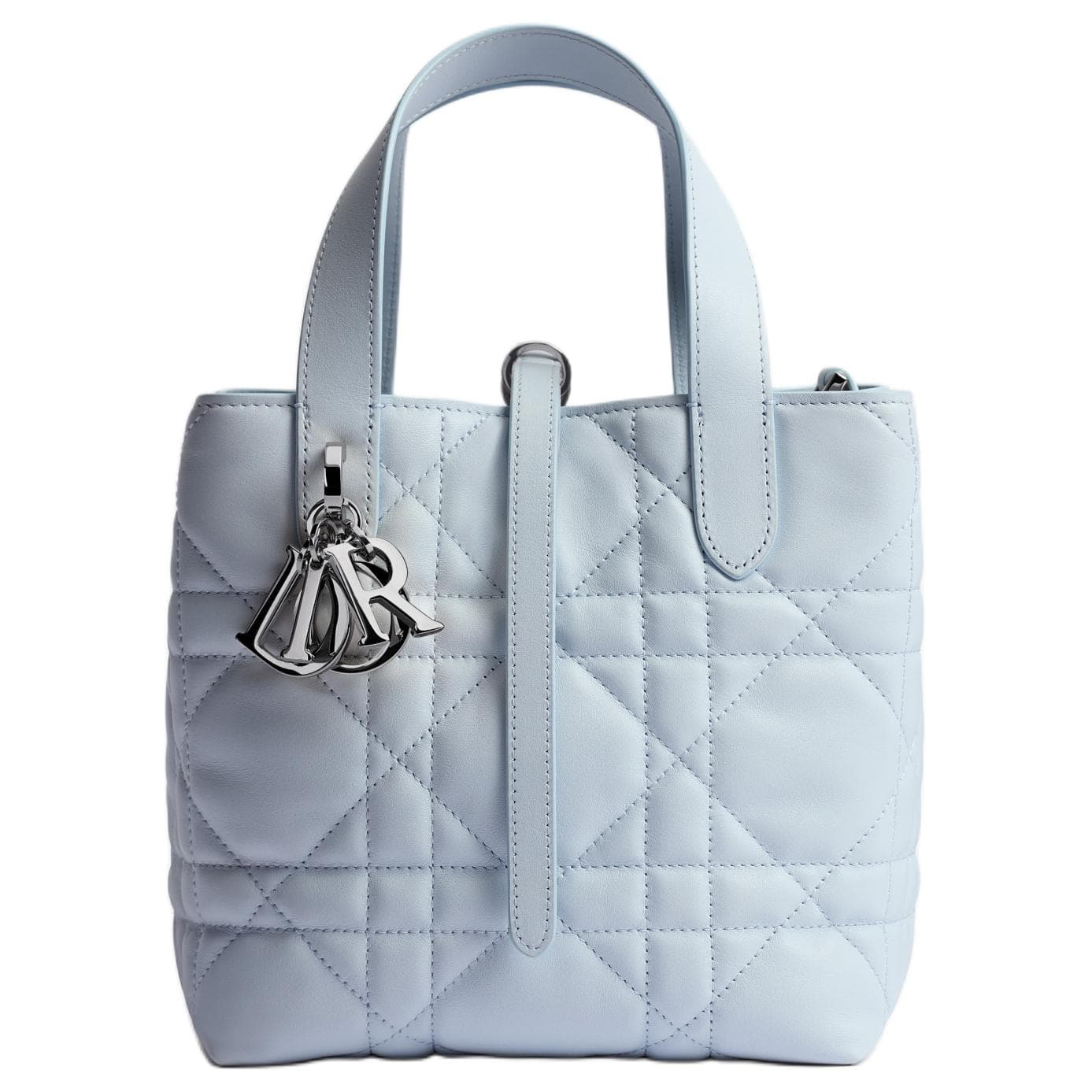 Сумка DIOR Toujours D - изображение 1
