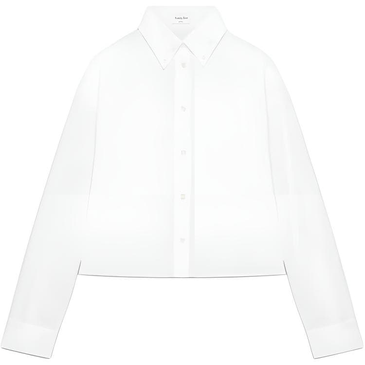 Блузка Aritzia Женские Рубашки - изображение 1