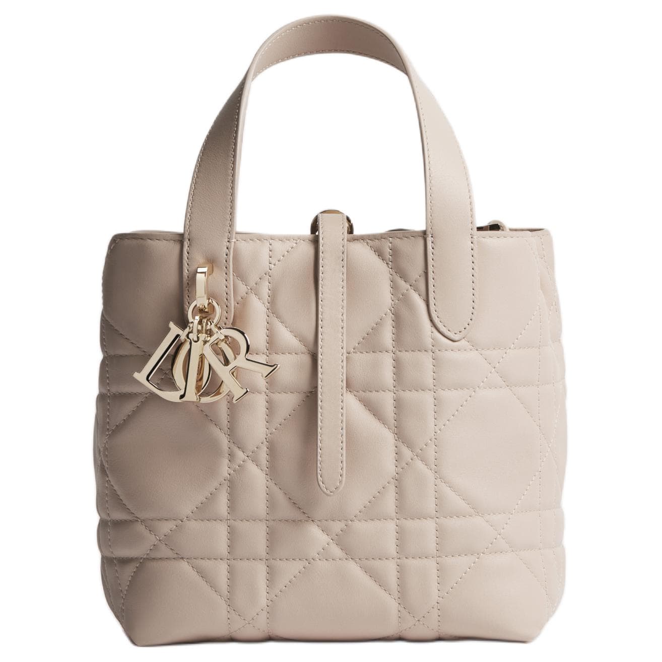 Сумка DIOR Toujours CD - изображение 1