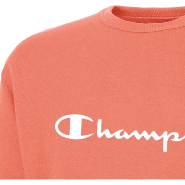 Худи Champion - изображение 2