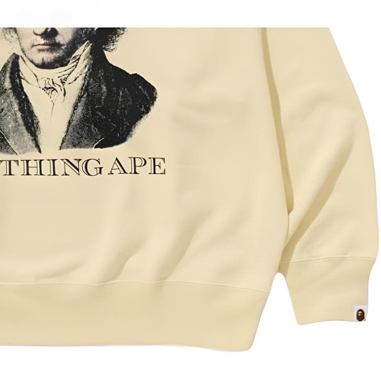 Худи A BATHING APE FW25 Толстовка Мужское - изображение 7