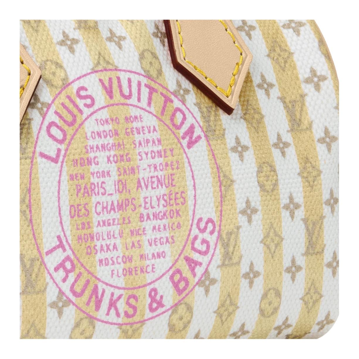 Сумка LOUIS VUITTON NANO SPEEDY - изображение 6