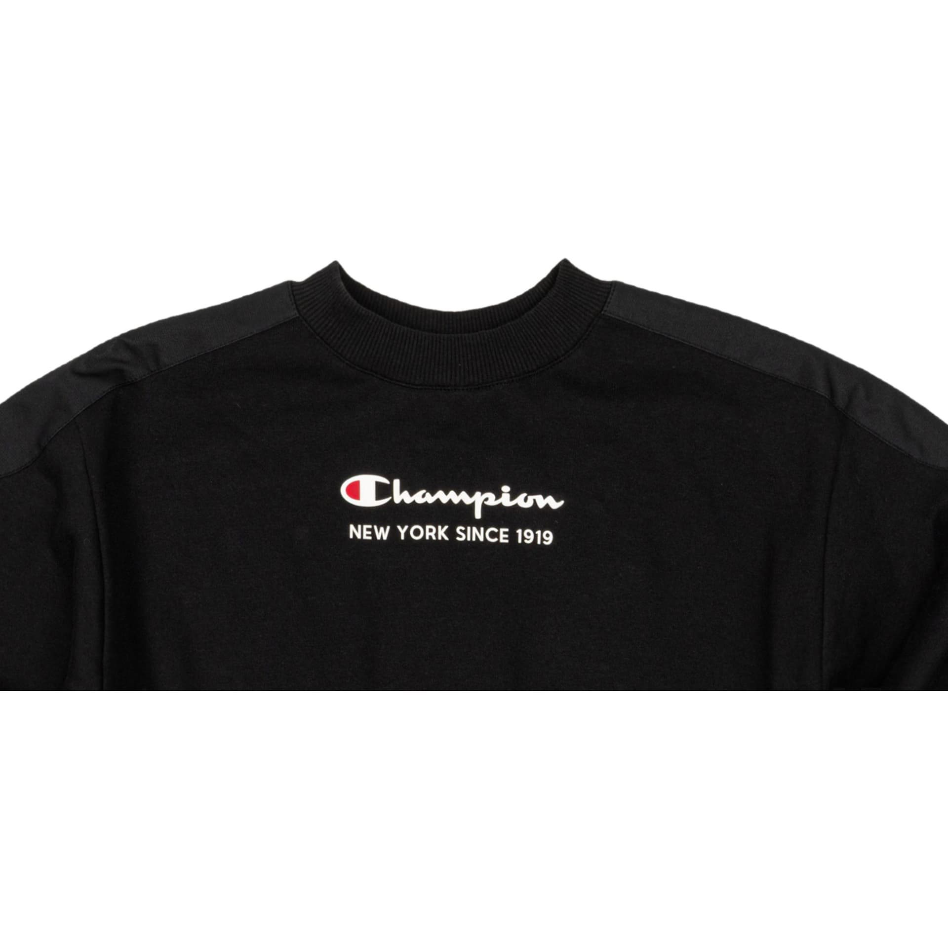 Худи Champion Rochester Logo - изображение 2