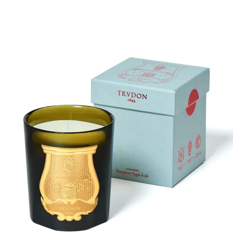 Cire Trudon Ernesto logo 270g - изображение 4