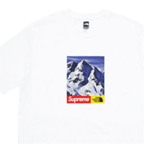 Футболка Supreme x The North Face FW17 Snow Mountain Tee White - изображение 3