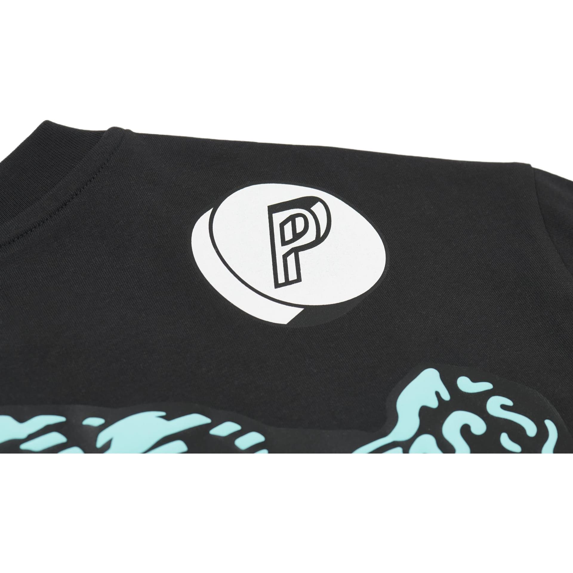 Футболка PALACE x Cannondale Mad Boyt-shirt Black FW21 LogoT - изображение 6