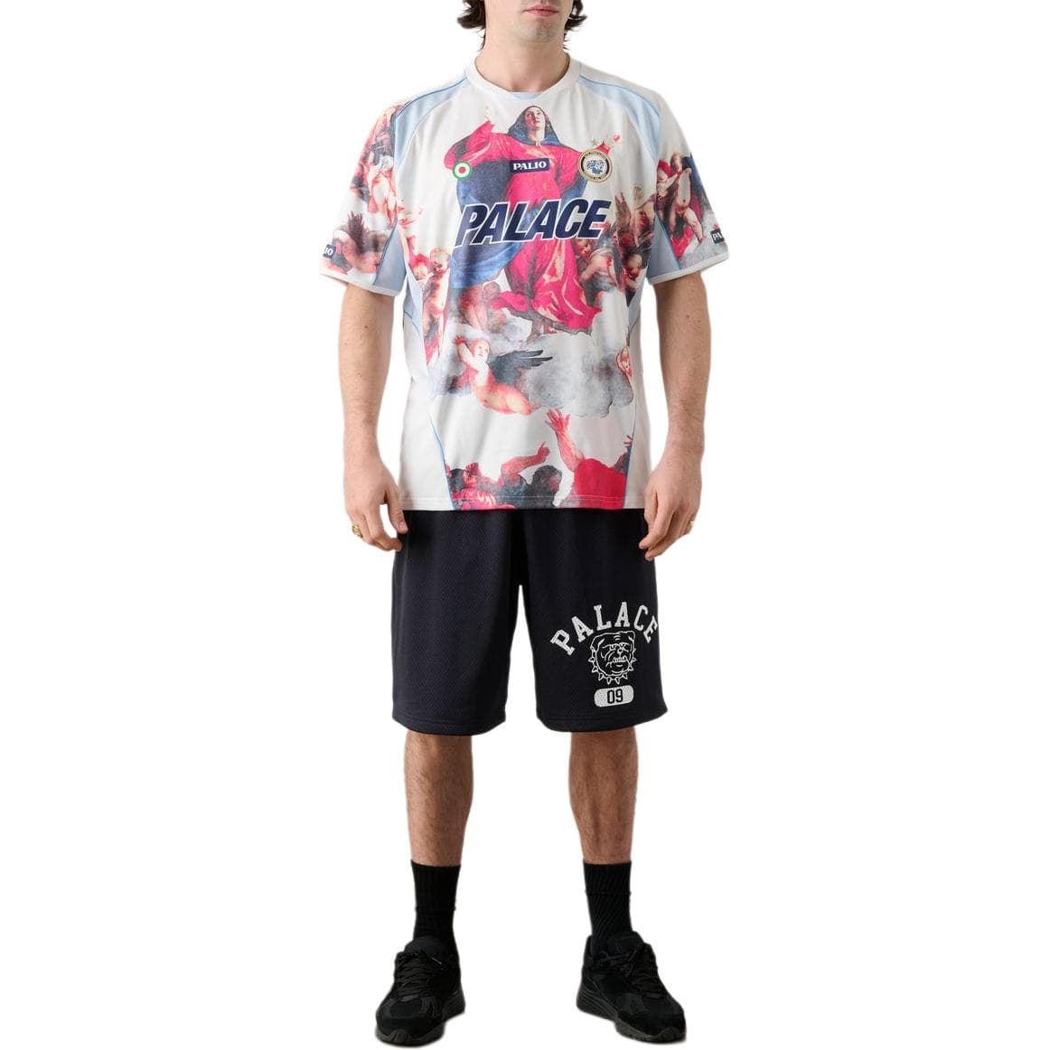 PALACE SS26 TITIAN Футболка С Круглым Вырезом И Принтом В Стиле Ренессанс, Унисекс - изображение 4