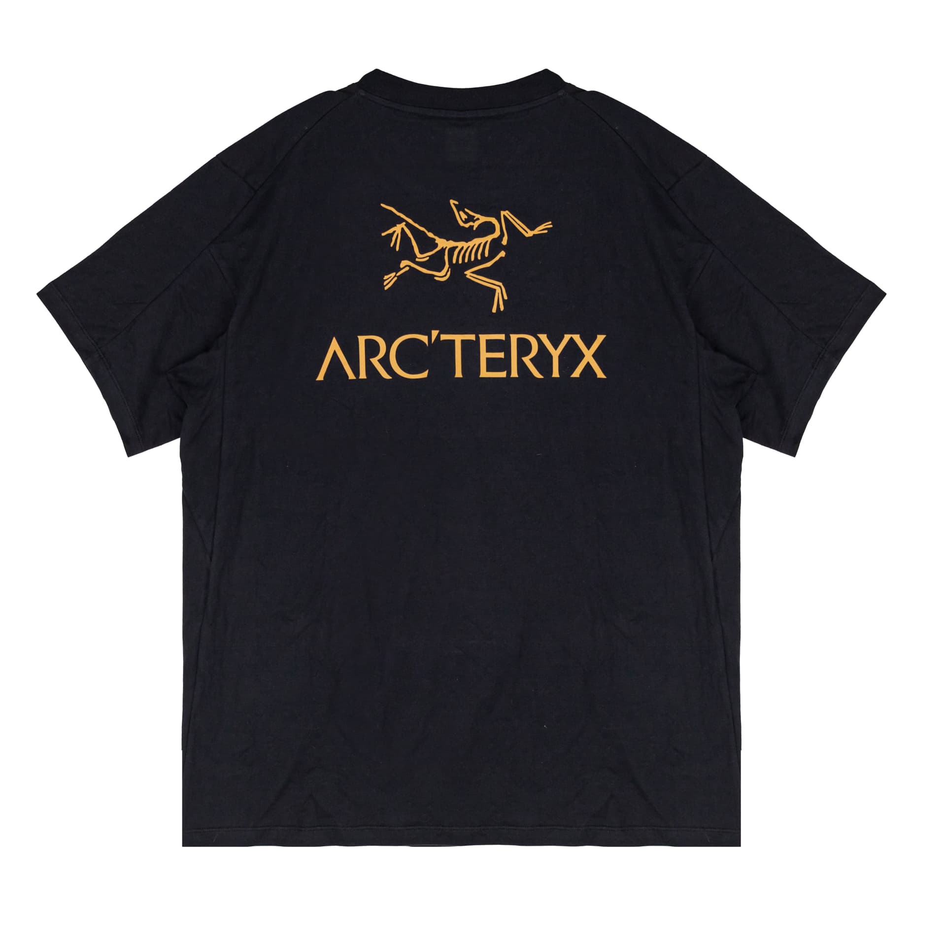 Футболка Arcteryx KRAGG FantasyLogo T — фото 8