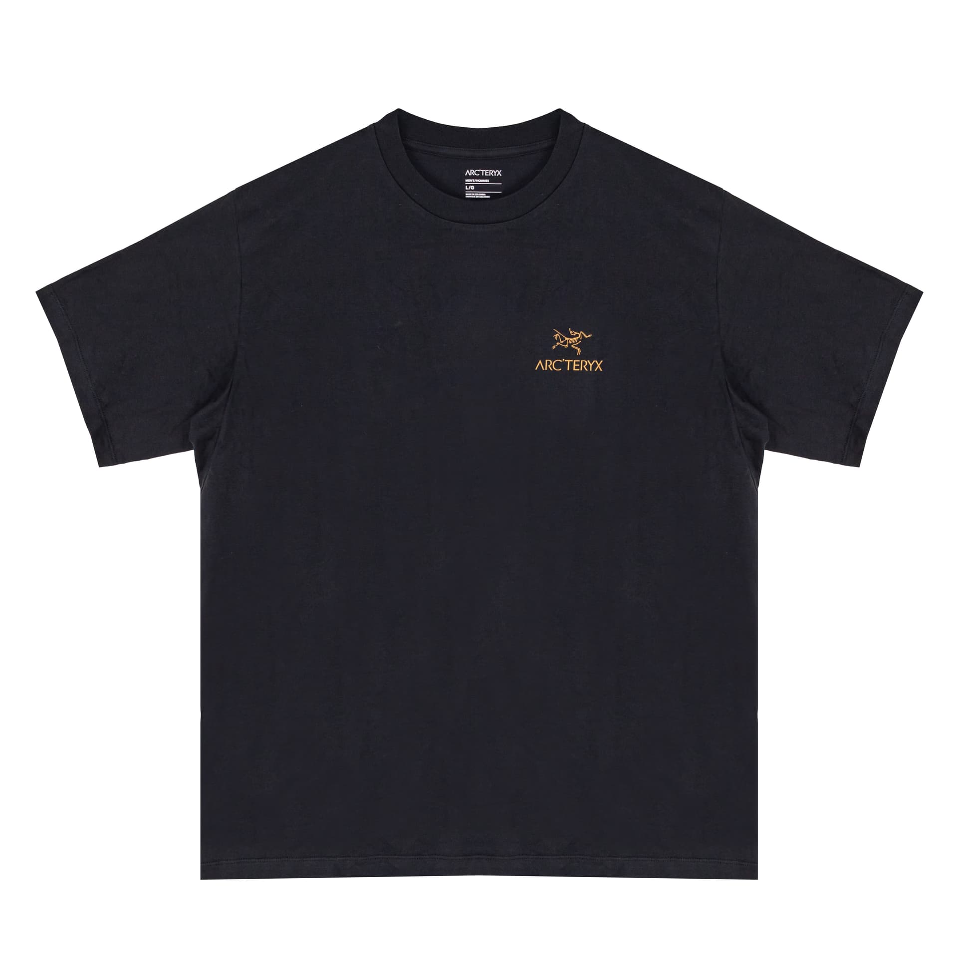 Футболка Arcteryx KRAGG FantasyLogo T — фото 7