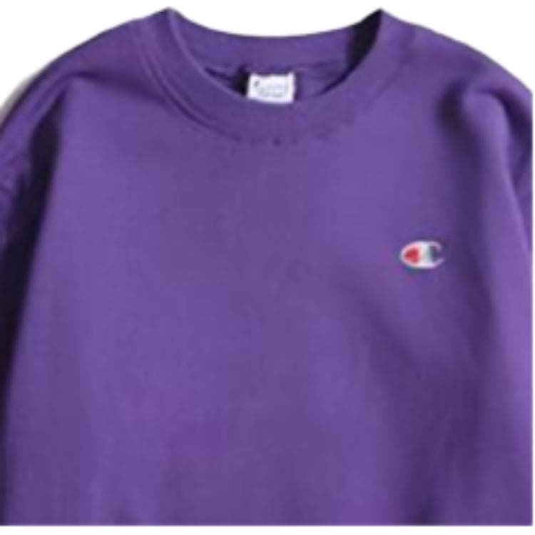 Худи Champion logo - изображение 2