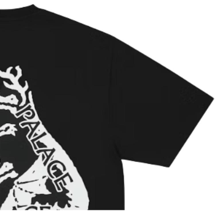 Футболка PALACE FW25 TRI SORCERY T-SHIRT T - изображение 4