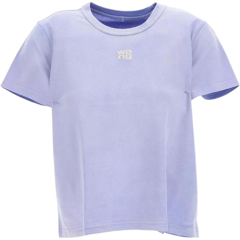 Футболка alexander wang FW22 LogoT - изображение 1