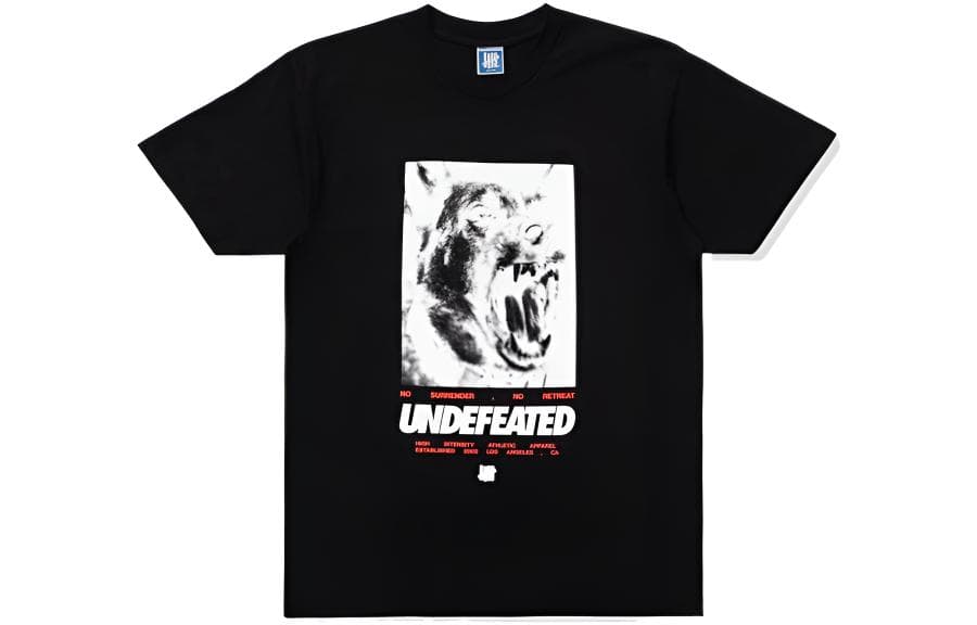 Футболка UNDEFEATED SS22 T - изображение 1