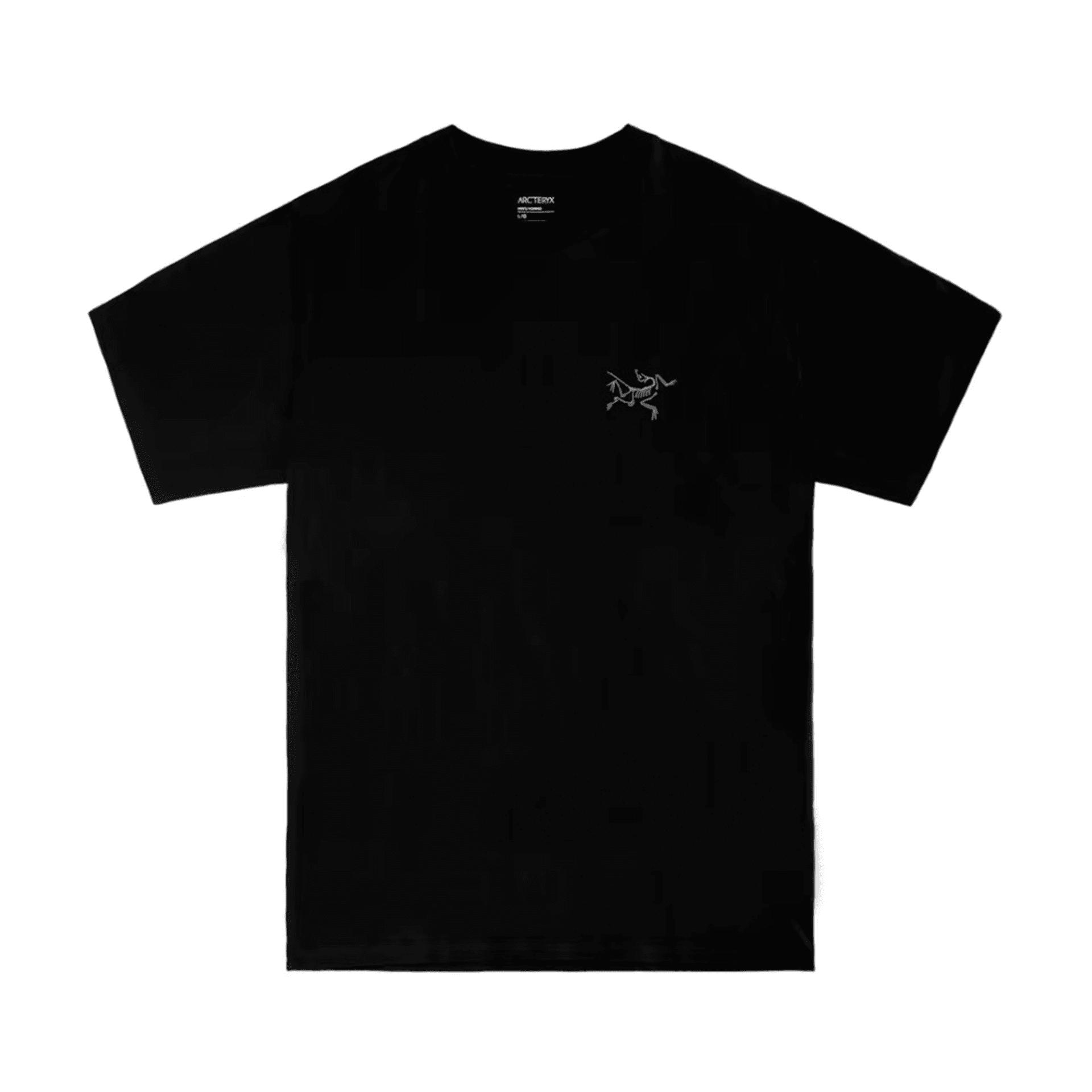Футболка Arcteryx KRAGG Logo T — фото 6