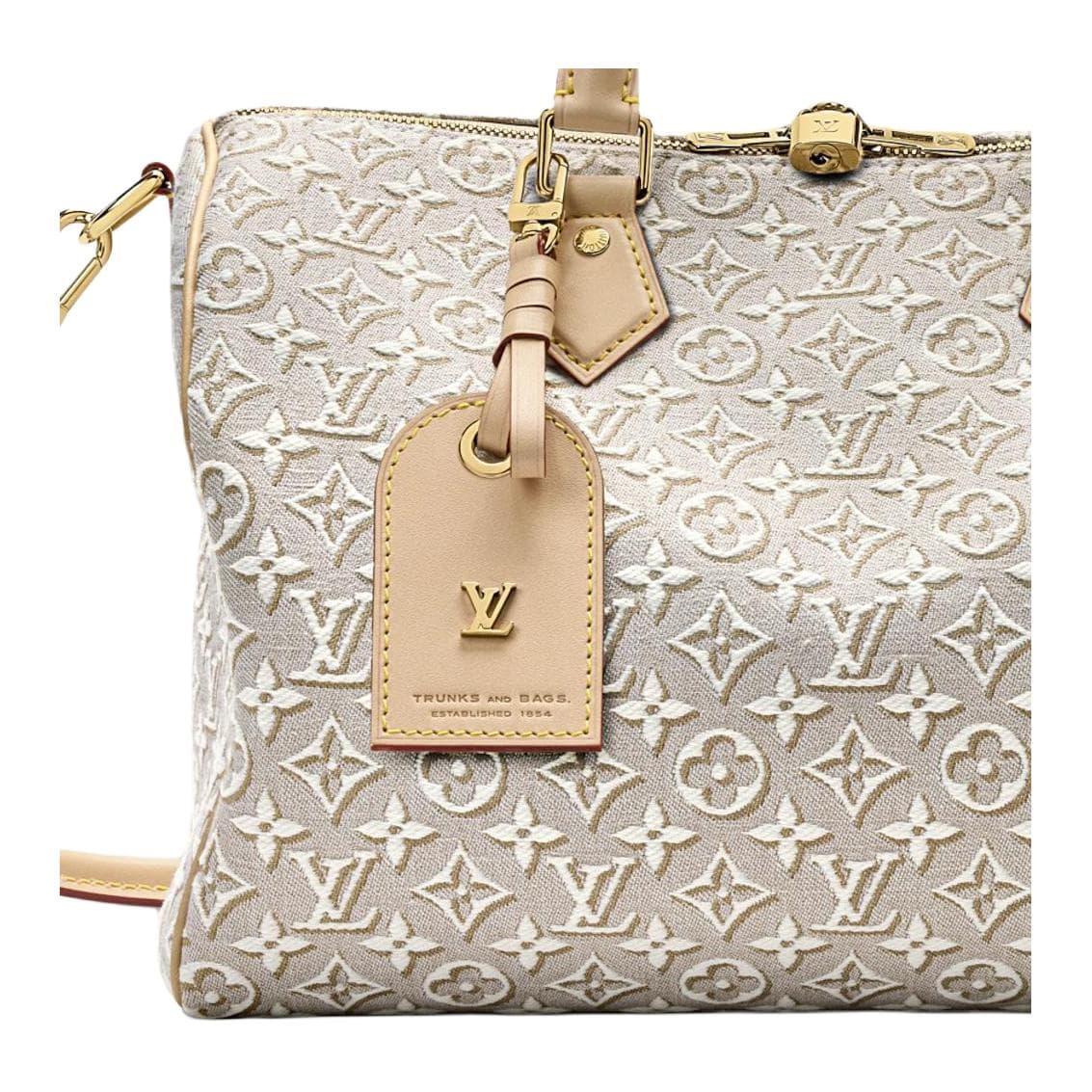 Сумка LOUIS VUITTON Monogram 130SPEEDY SOFT 30 - изображение 4