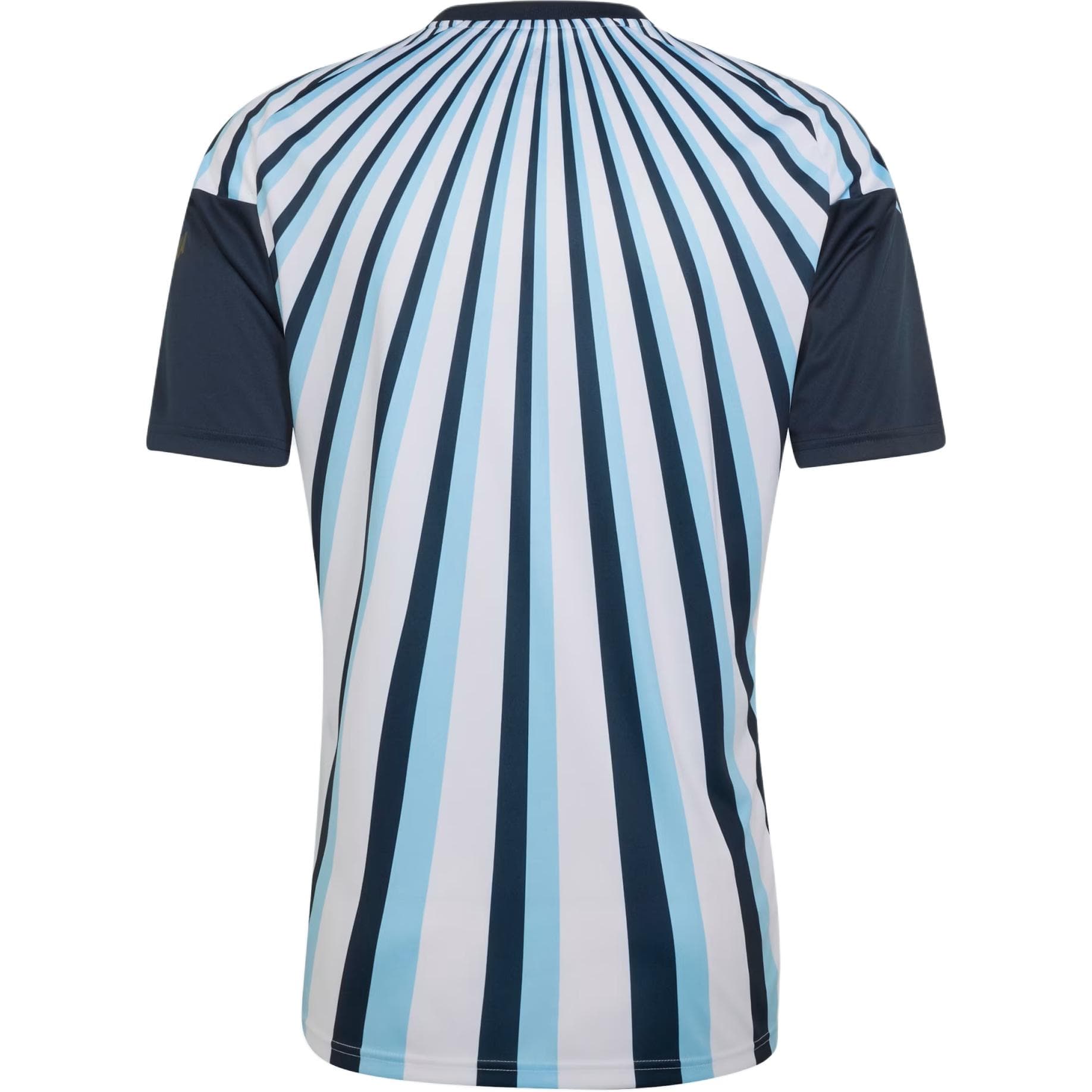 Adidas Argentina National Team Белый Мужской Футбольные джерси - изображение 2