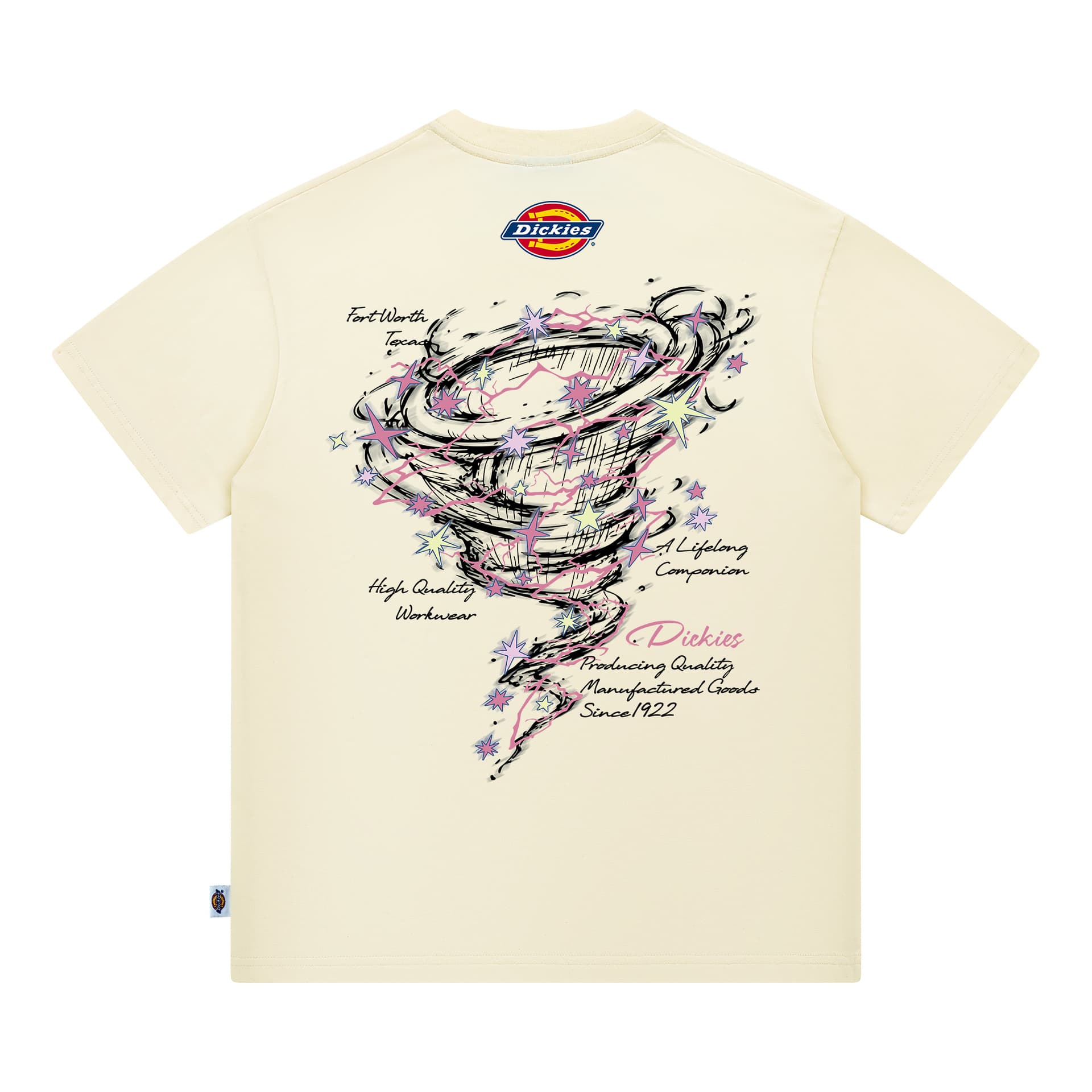 Футболка Dickies logoT