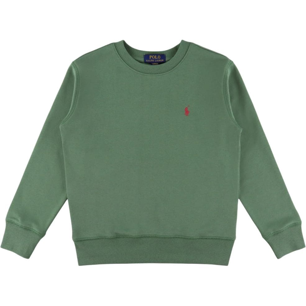 Polo Ralph Lauren Пыльно-зеленый Детская Толстовка - изображение 1