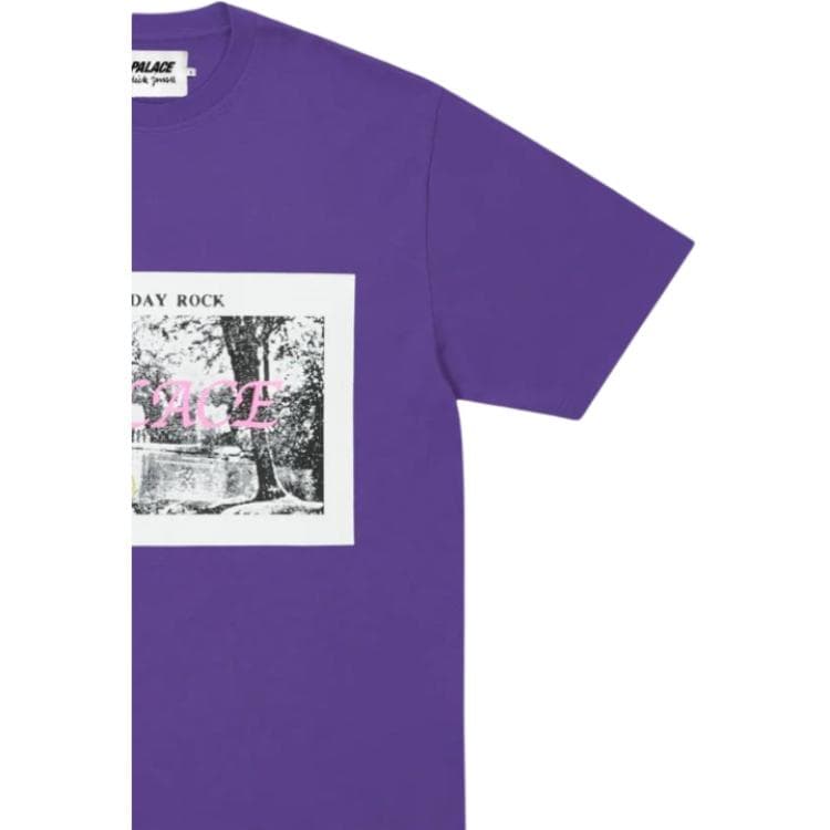 Футболка PALACE 2026 SS26 drop2 DICK JEWELL T-SHIRT SOUR GRAPE T - изображение 5