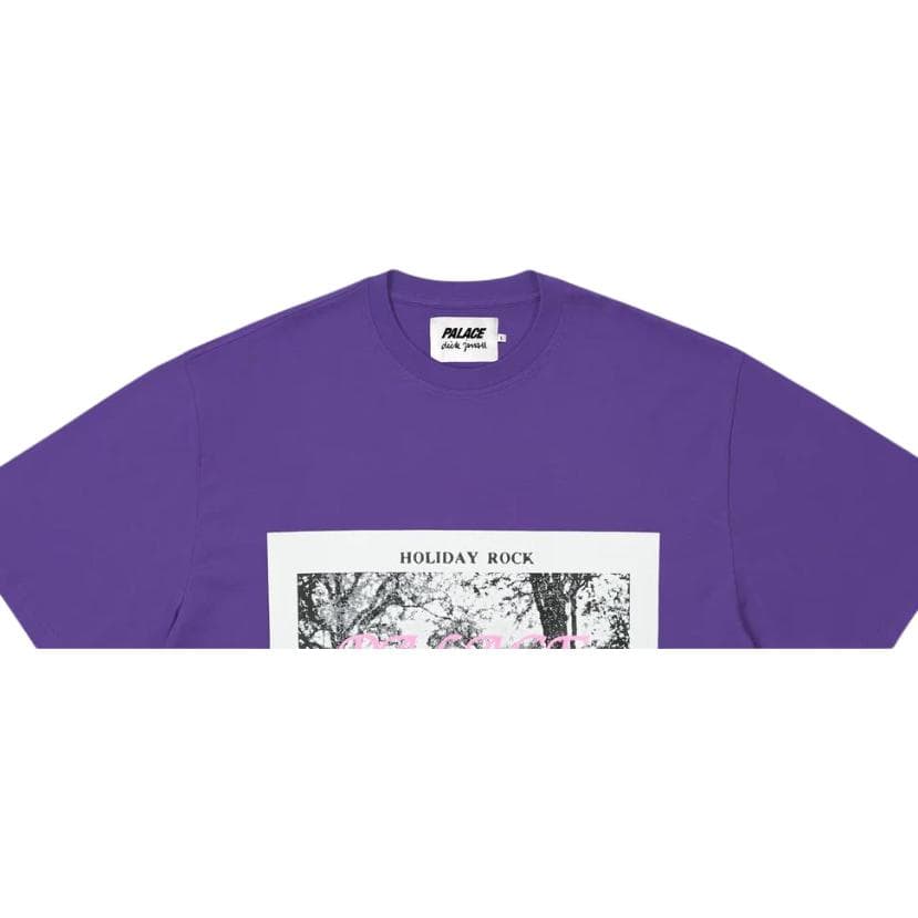 Футболка PALACE 2026 SS26 drop2 DICK JEWELL T-SHIRT SOUR GRAPE T - изображение 2