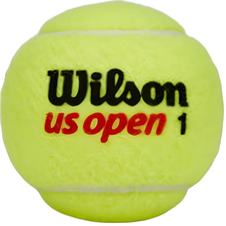 Wilson Теннис - изображение 2
