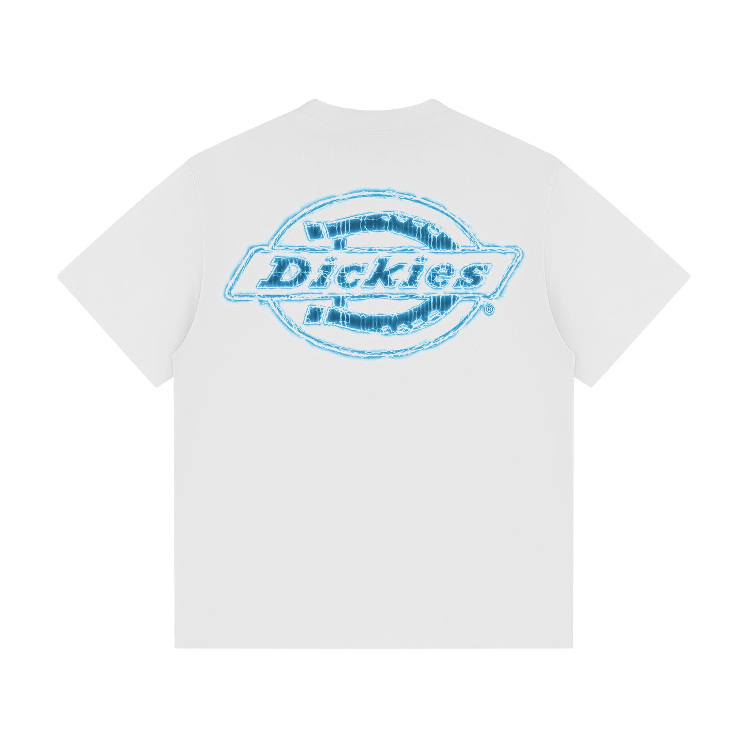 Футболка Dickies 300glogo T