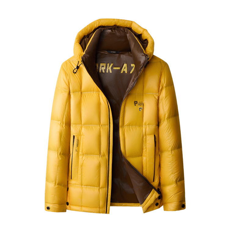Зимняя куртка PIERRE CARDIN Мужские Пуховики - изображение 1