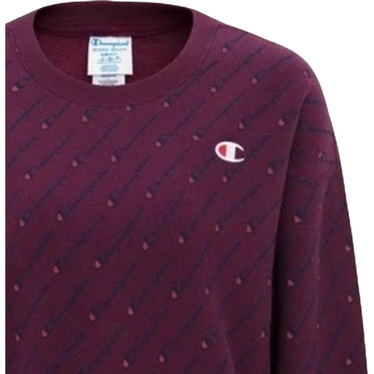 Худи Champion Женские Толстовки - изображение 4