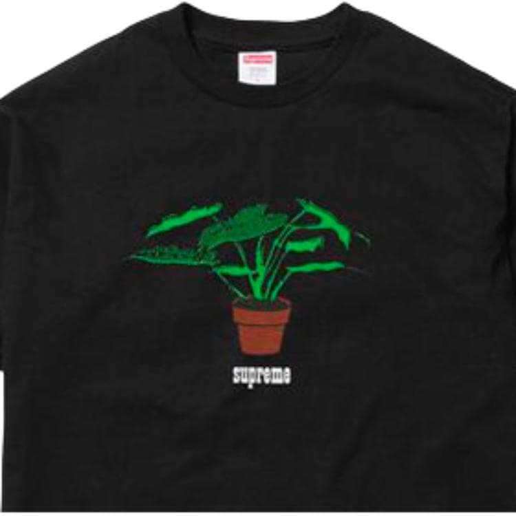 Футболка Supreme FW17 Plant Tee Pale Black - изображение 2