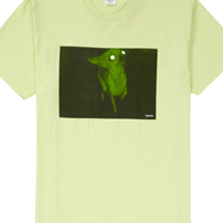 Футболка Supreme FW18 Chris Cunningham Chihuahua Tee Pale Mint - изображение 4