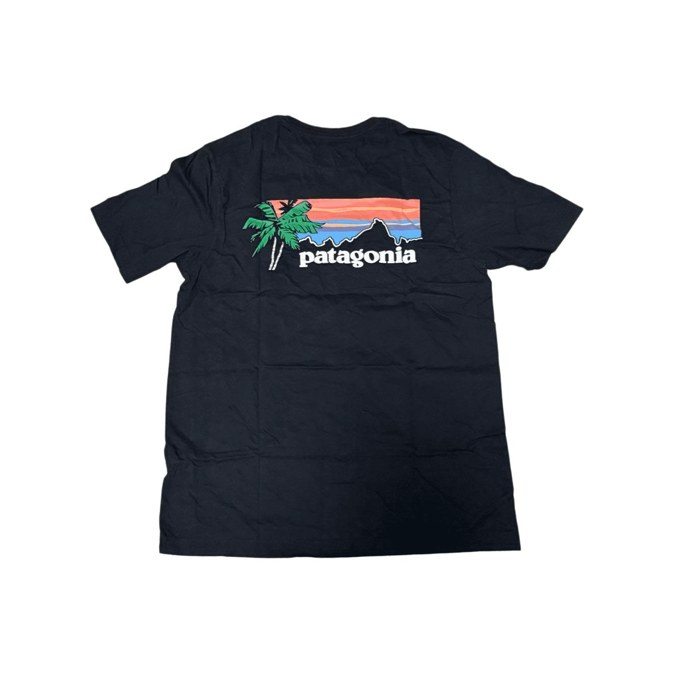 Футболка Patagonia Черный BLK Мужские T-рубашки - изображение 2