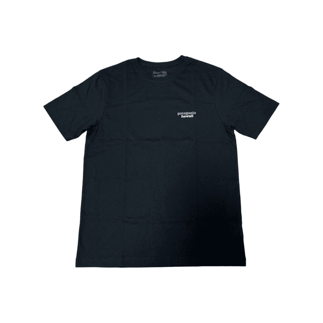 Футболка Patagonia Черный BLK Мужские T-рубашки - изображение 1
