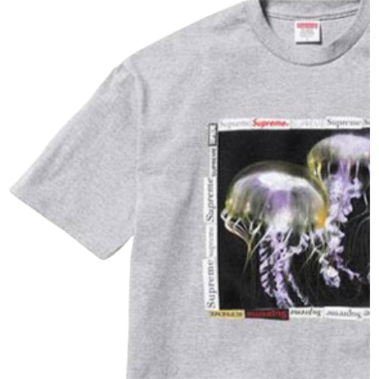 Футболка Supreme SS18 Jellyfish Tee Heather Grey - изображение 3