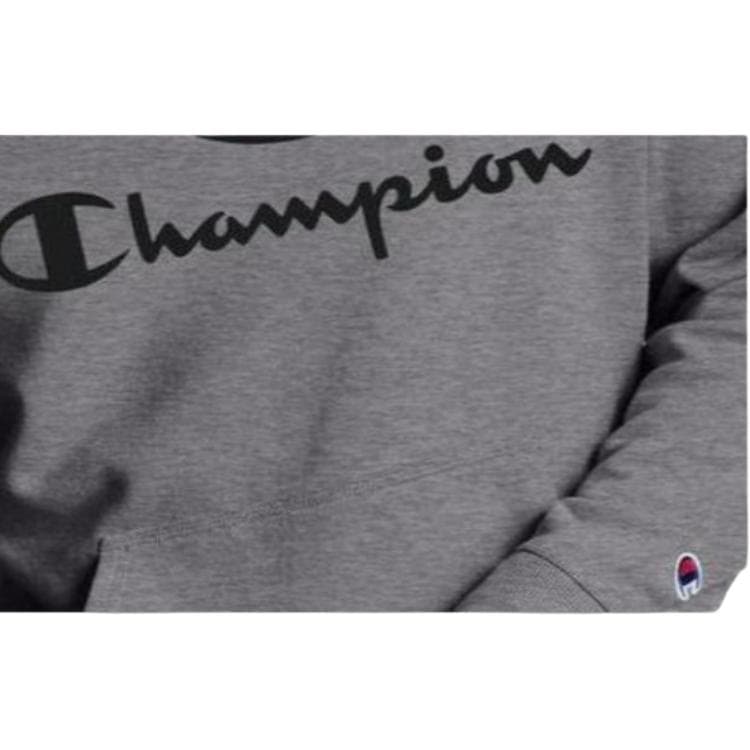 Кофта Champion Logo - изображение 3