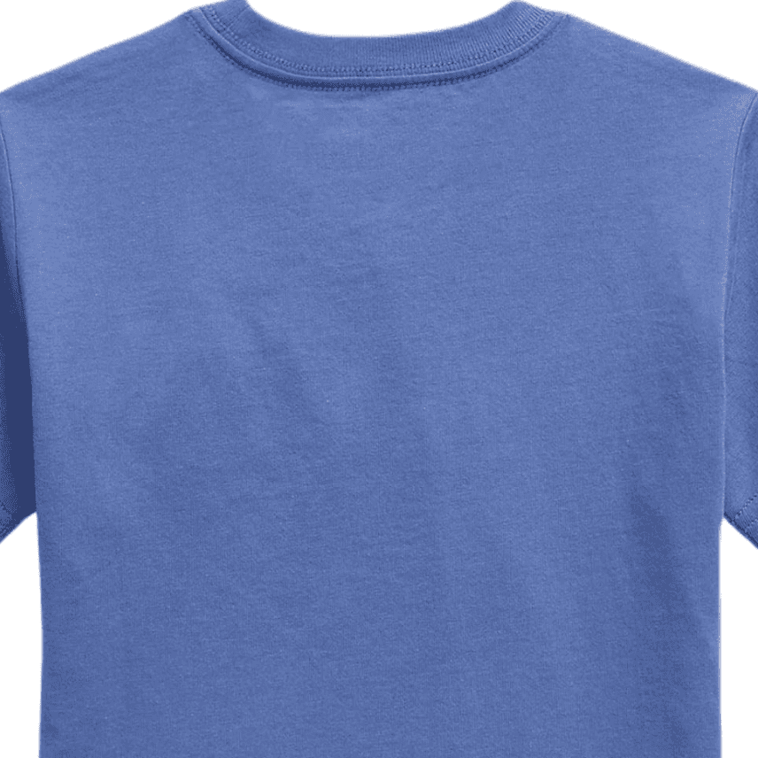 Футболка Polo Ralph Lauren Blue Kids T-Shirts Поло Ralph Lauren Синие Детские Футболки - изображение 4