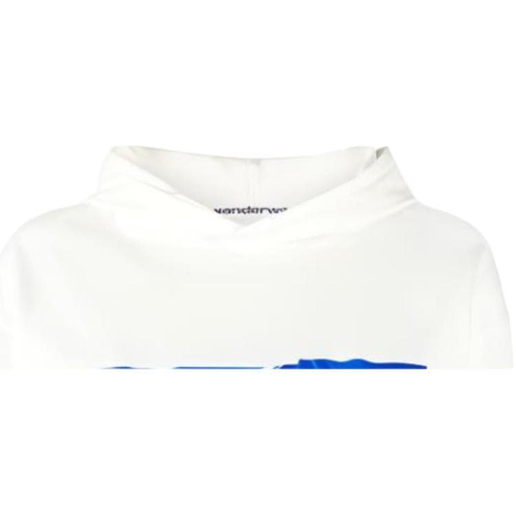 Худи alexander wang Logo - изображение 2